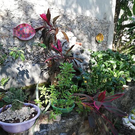 Mayan Bungalow Near Chichén Esterno foto