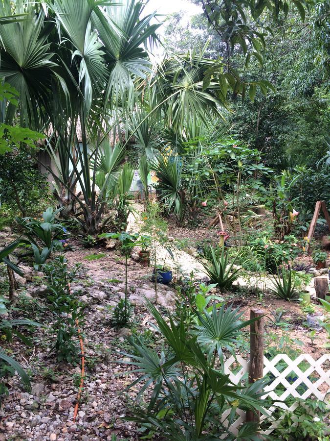 Mayan Bungalow Near Chichén Esterno foto